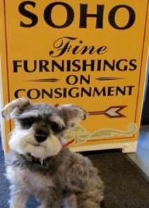 Consignment Furniture Dealer Raleigh NC - SoHo Consignments (919)851-6969